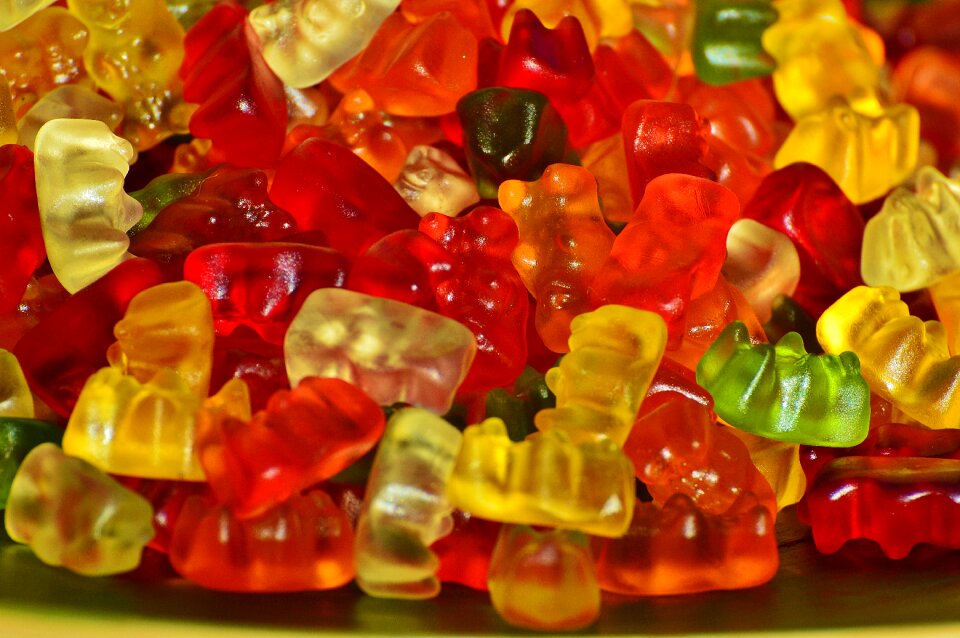 Bear delicious color