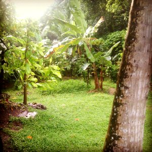 IMG_20121102_070621