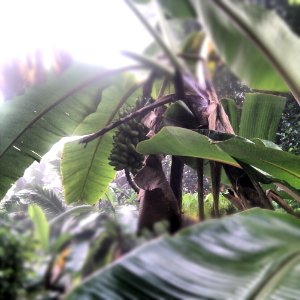 IMG_20121108_070014