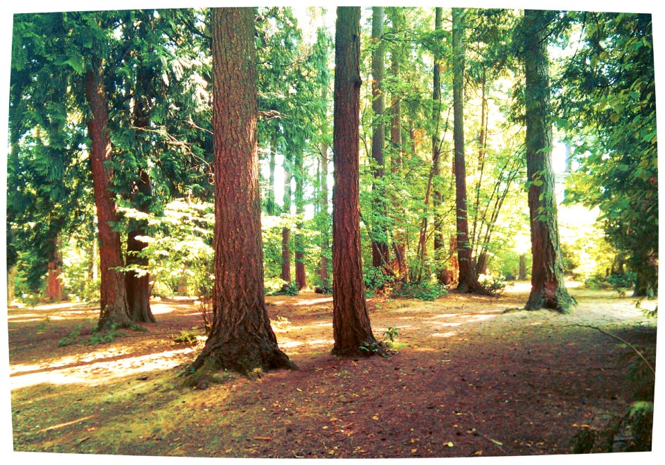 Queen's Park