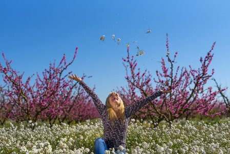 Beauty spring flower