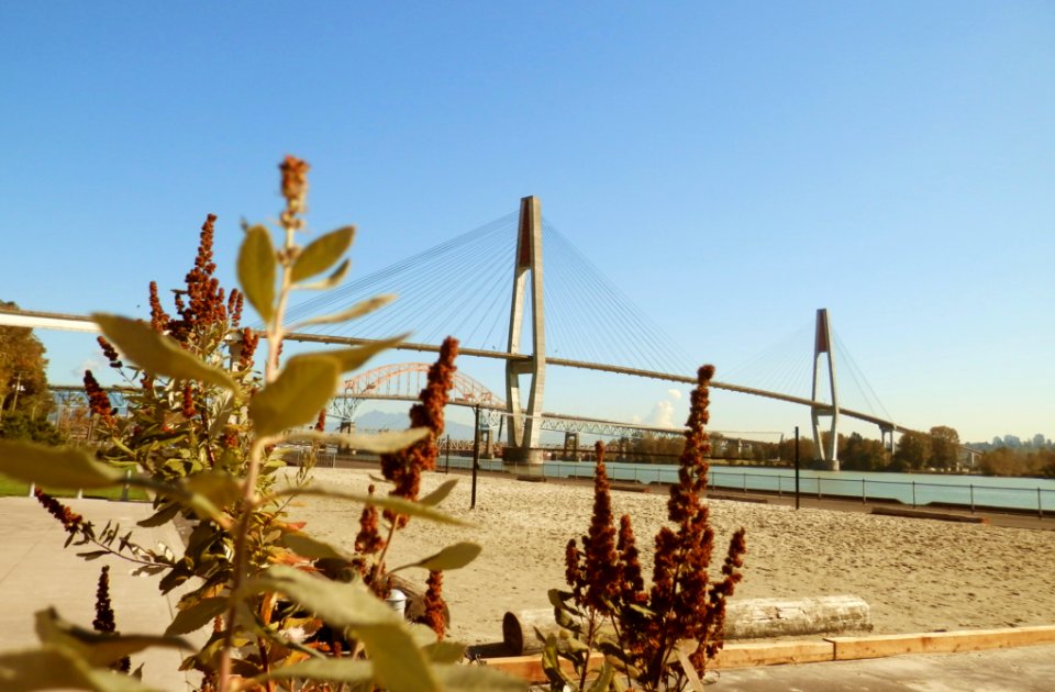 Pier Park in September