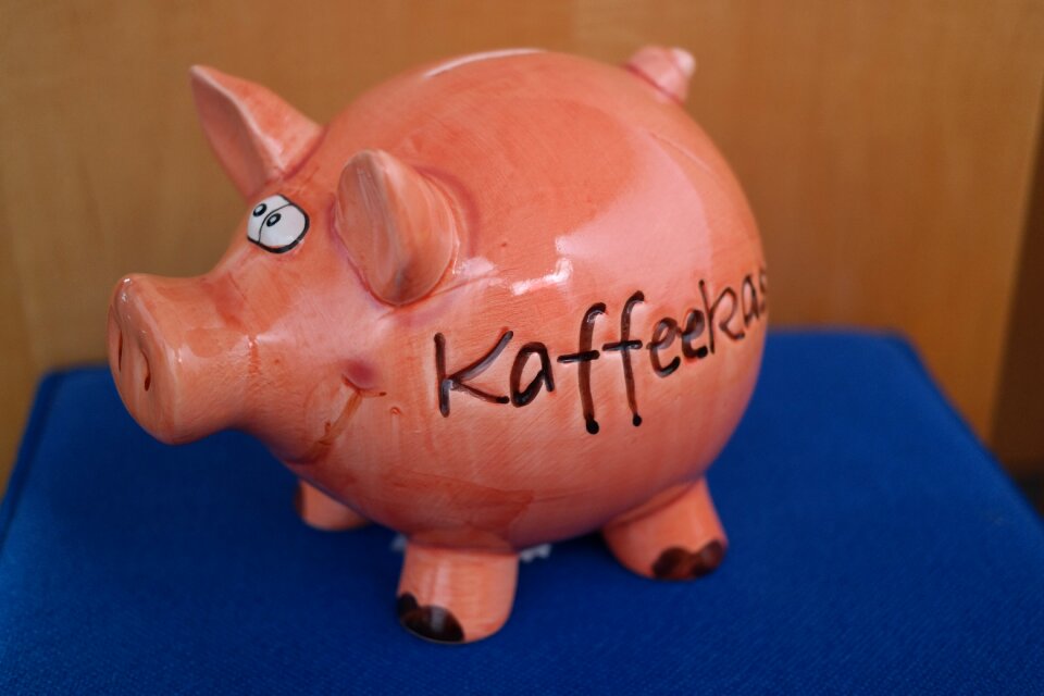 Pig porcelain figurine money