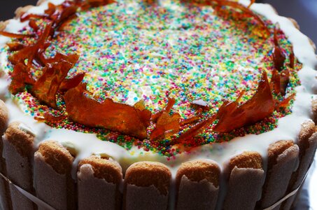 Pie the sweetness of sponge