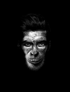 Chimpanzee orang-outang darkness