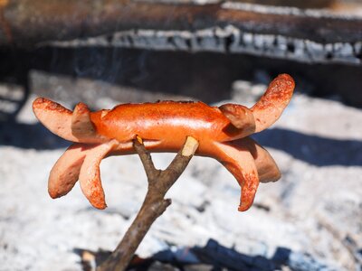 Sausage grill sizzle photo