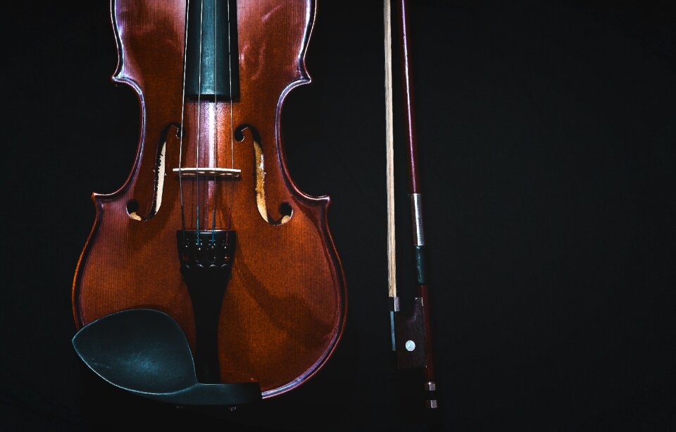 Bowed stringed instrument instrument musical instrument