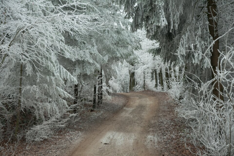Winter eiskristalle cold
