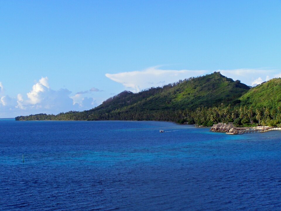 Society island tropical