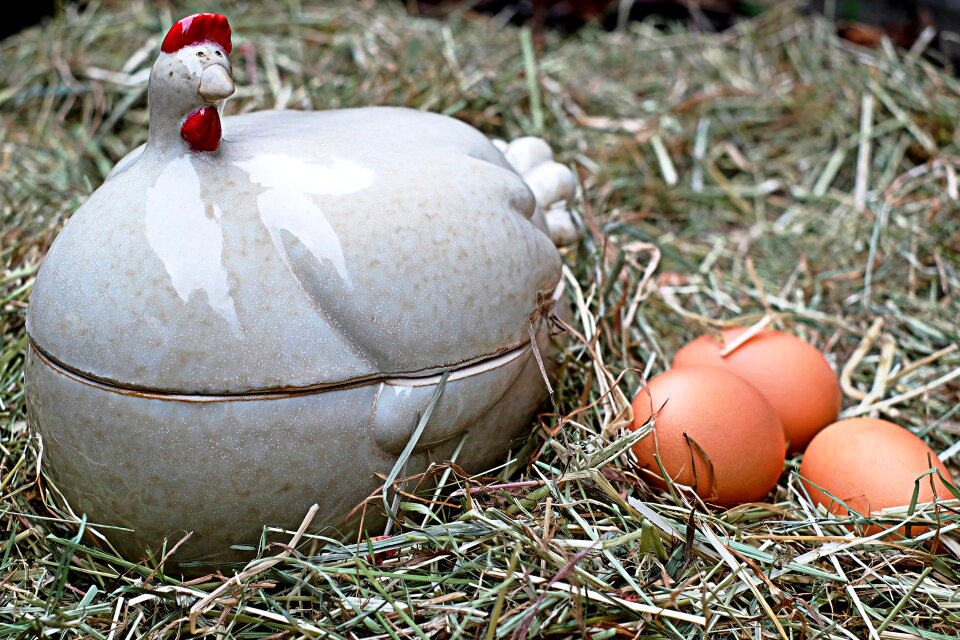 Porcelain nest decoration