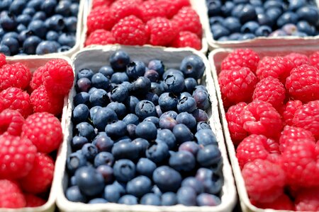 Fruit fruits market