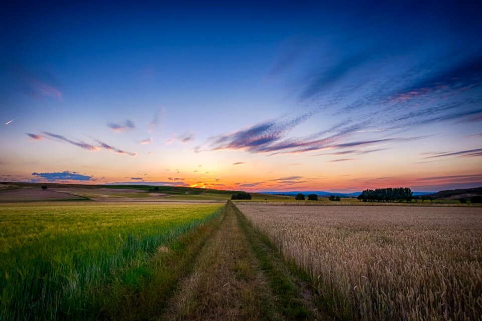Dawn farm field