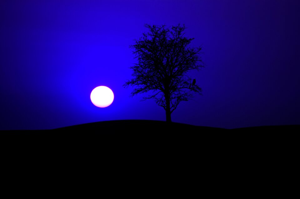 Moonlight sky darkness