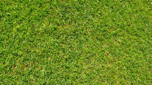 Football field background texture