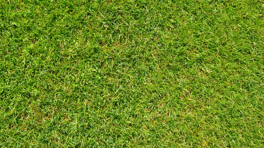 Football field background texture photo