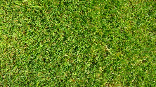 Football field background texture