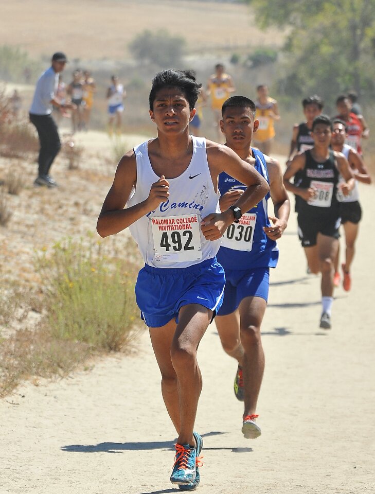 Cross country run sports