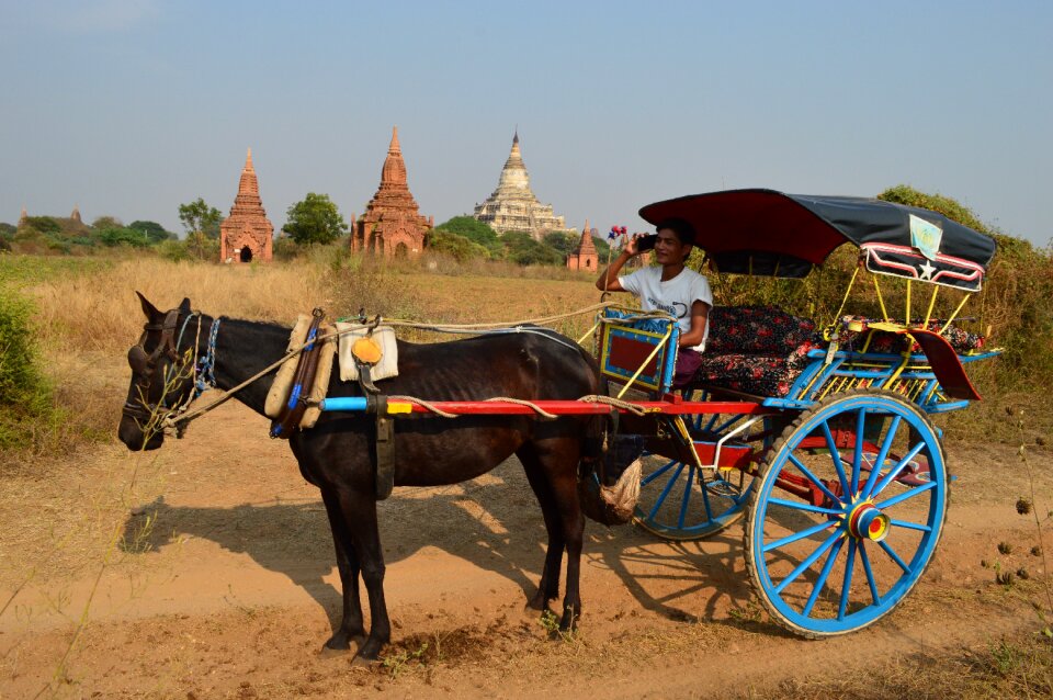 Transportation wagon basket