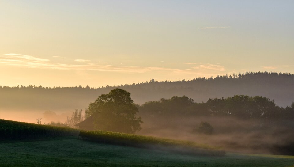 Landscape backlighting morning photo