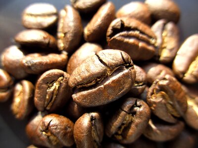 Coffee coffee beans Free photos