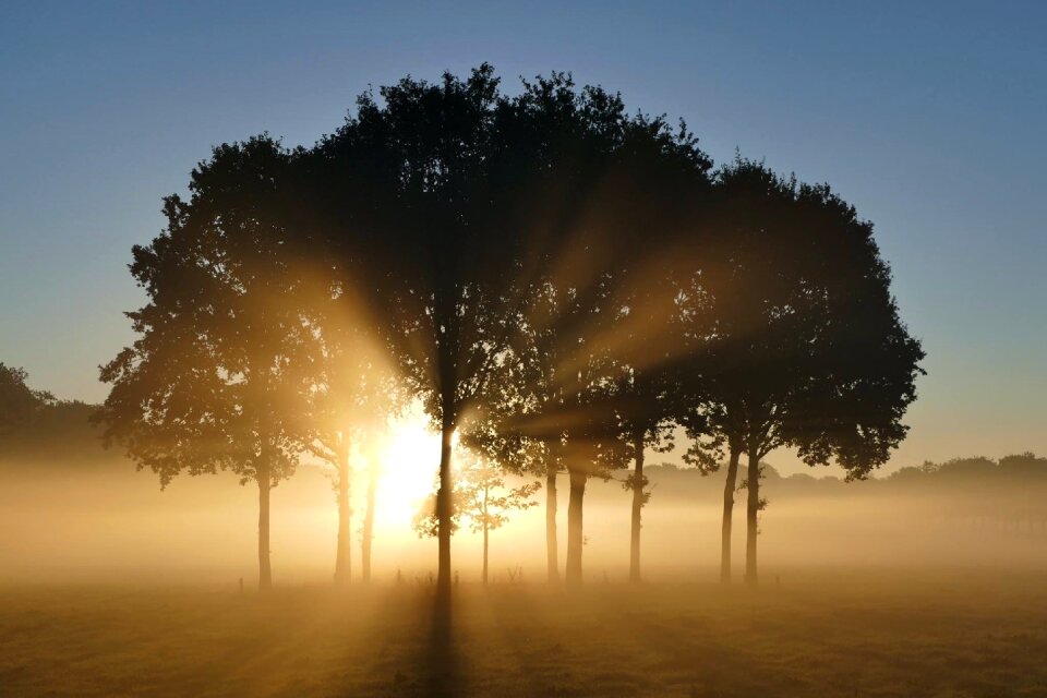 Morning sun silhouette