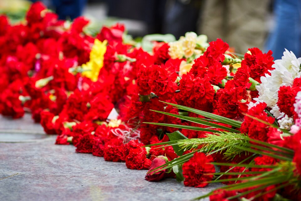 Memory carnation may 9