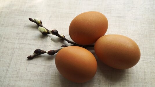 Easter eggs holiday palm sunday
