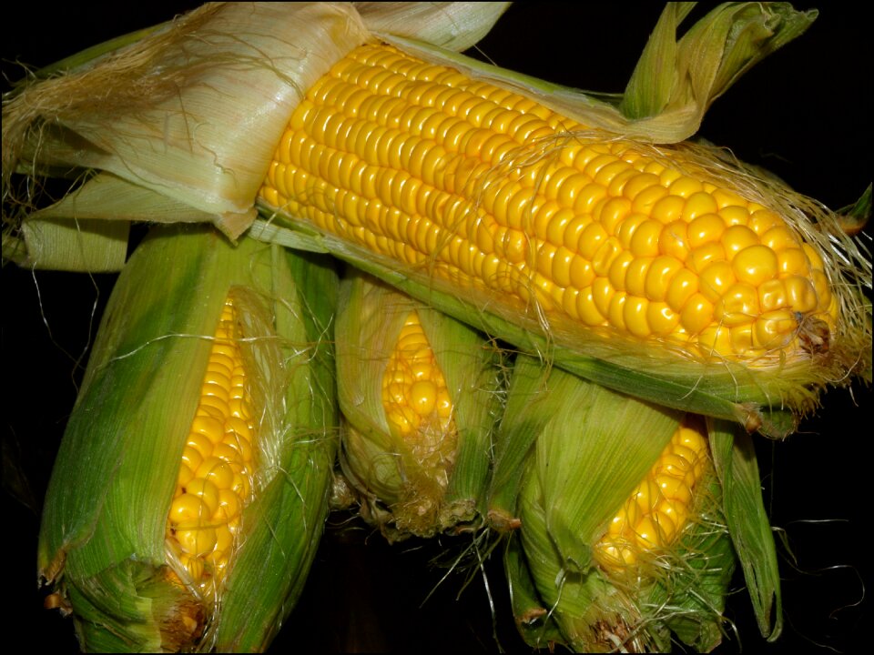 Yellow closeup food