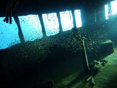 Water sea underwater world photo