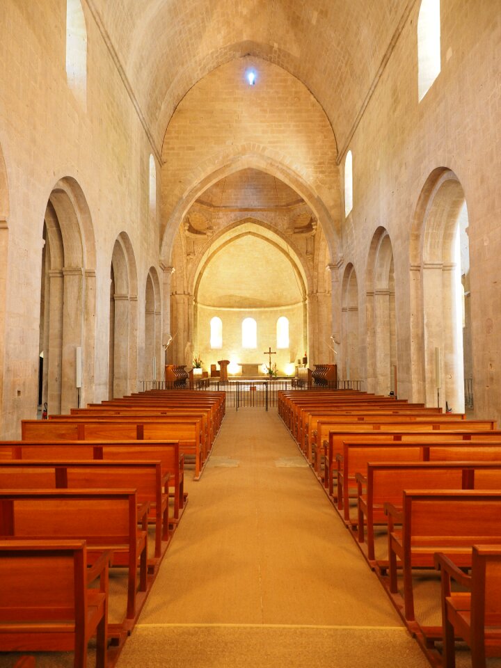 Pointed barrel vault ceiling church abbaye de sénanque