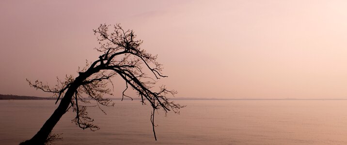 Sunset shadow silhouette photo