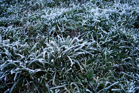Icy winter cold