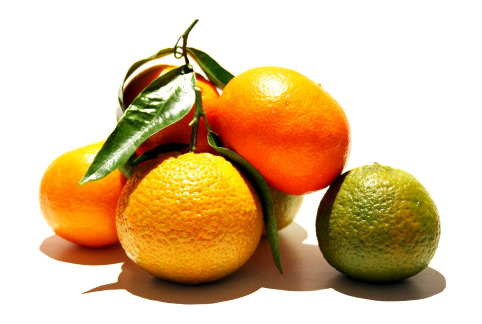 Fruit food orange