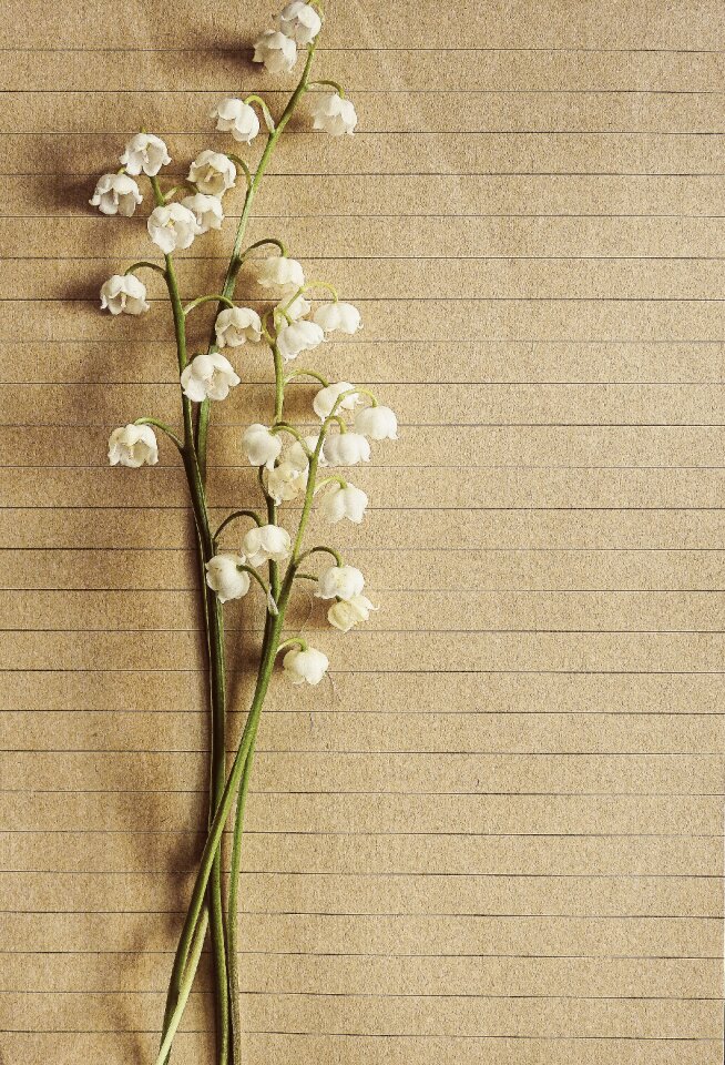 Paper flower rustic