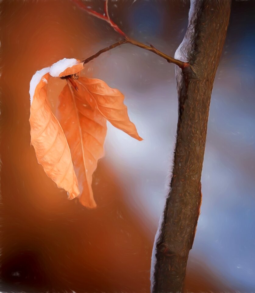 Branch nature painting
