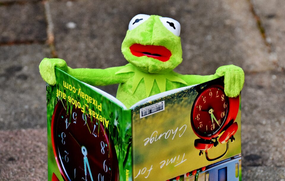 To watch frog sit