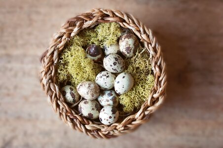 Easter nest small eggs deco