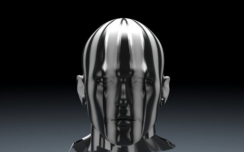 Head sculpture person