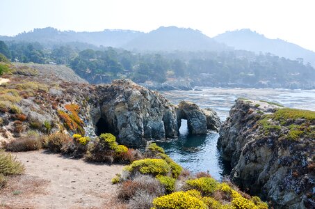 West coast point lobos landscape