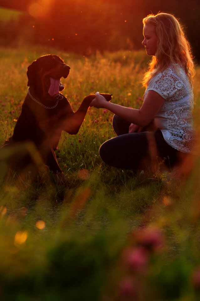 Summer sunset bokeh