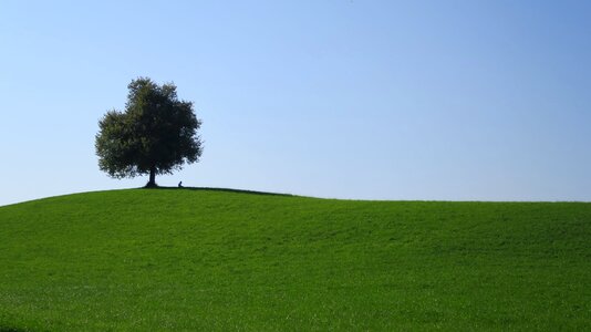 Landscape nature grass