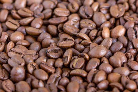 Coffee beans break close up
