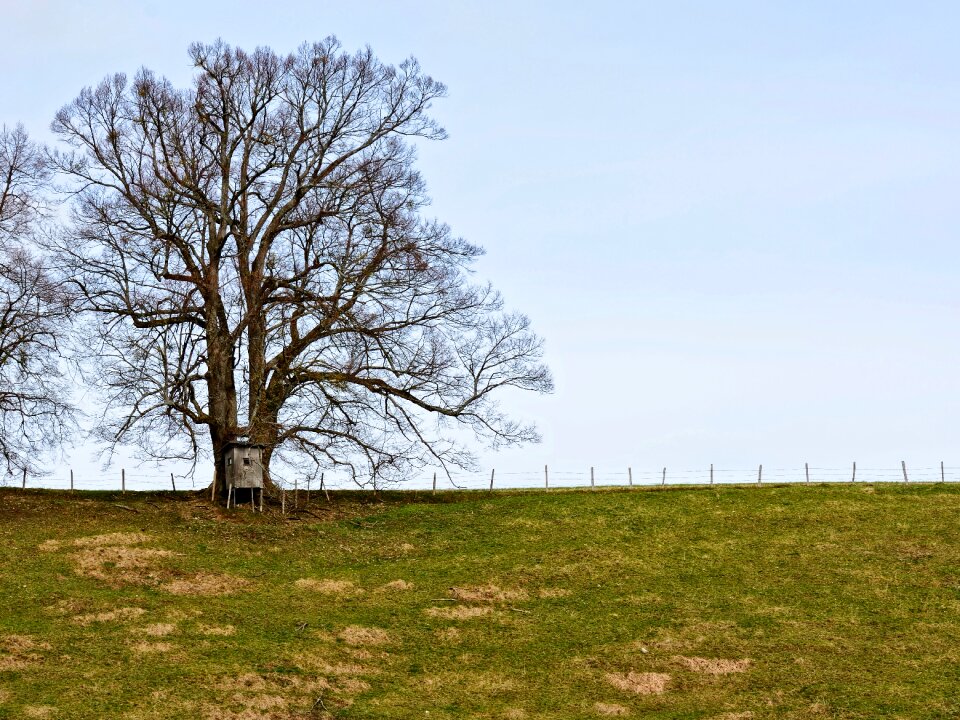 Pasture fence individually