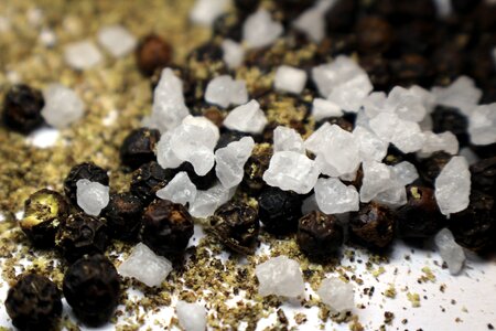 Grains of salt season kitchen