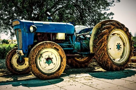 Agriculture rural vintage photo