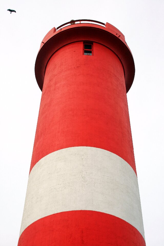 Red white tall