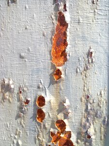 Broken paint white gray painting