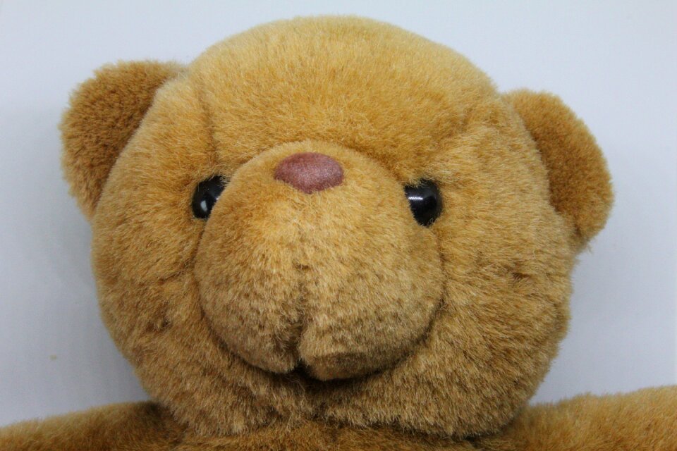 Fur childhood fluffy