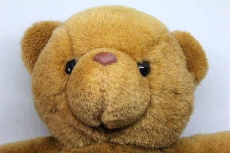 Fur childhood fluffy