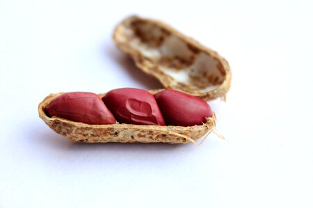 Healthy tasty food
